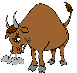 angry-bull Millicent after her third latte of the morning