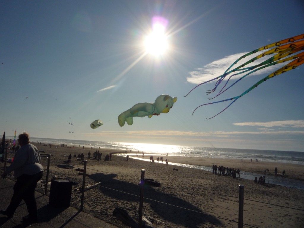 giant kites in Oregon giant kites in Oregon