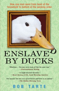 enslavedbyducksjacket