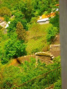 view-from-la-muse-window