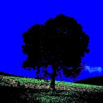 negative-tree