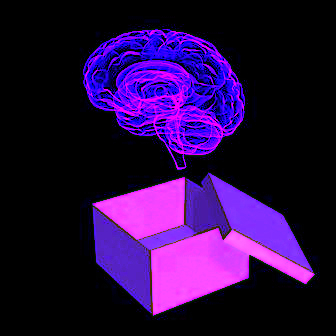 brain in shipping box