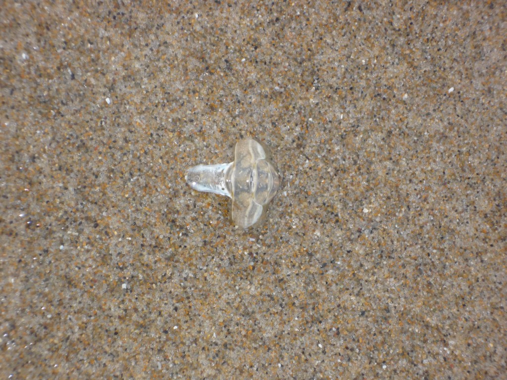 sand on a beach