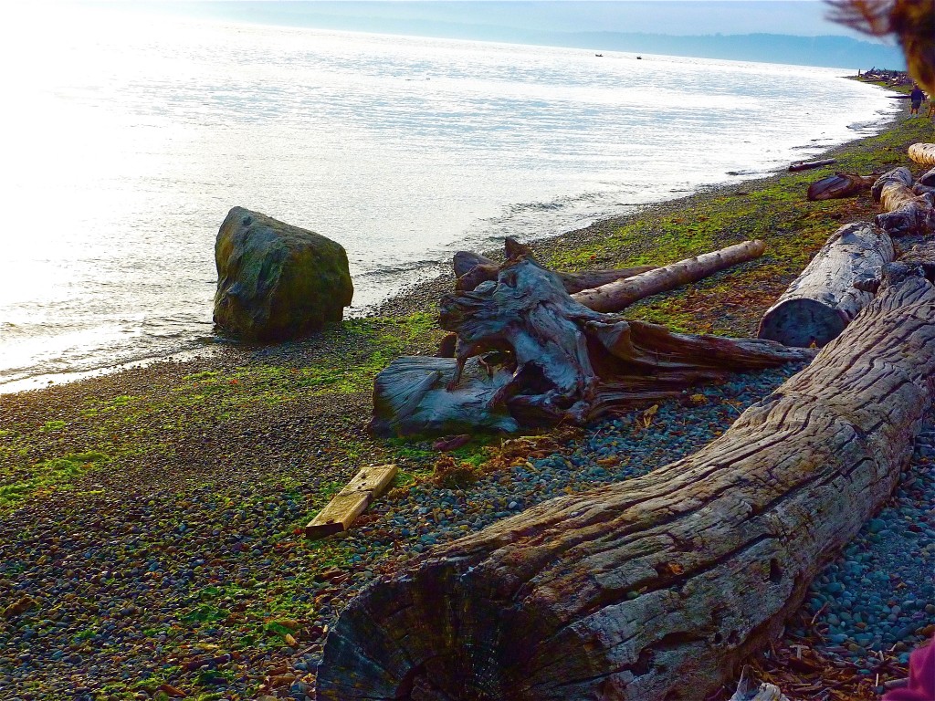 West Seattle beach