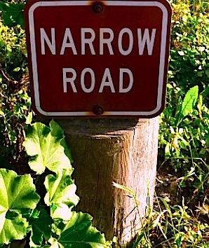 narrow road sign