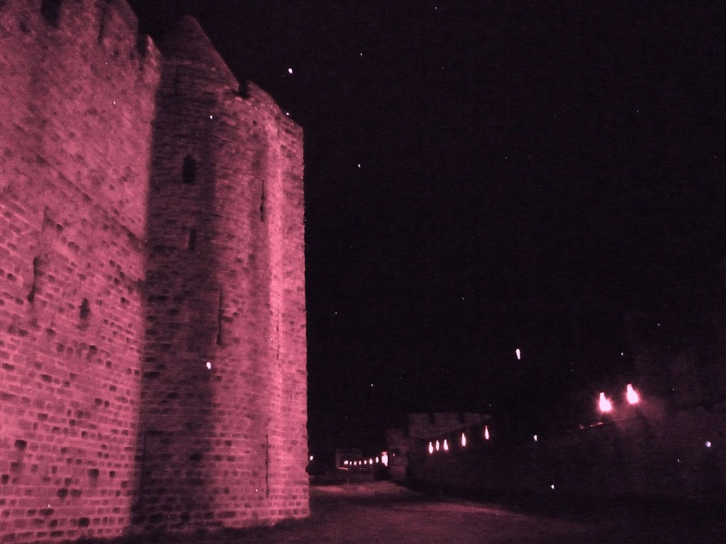 Carcassone outer wall