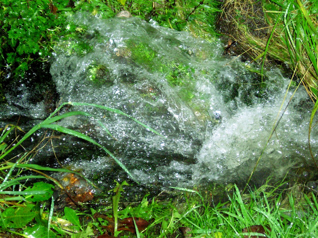 flooded ditch