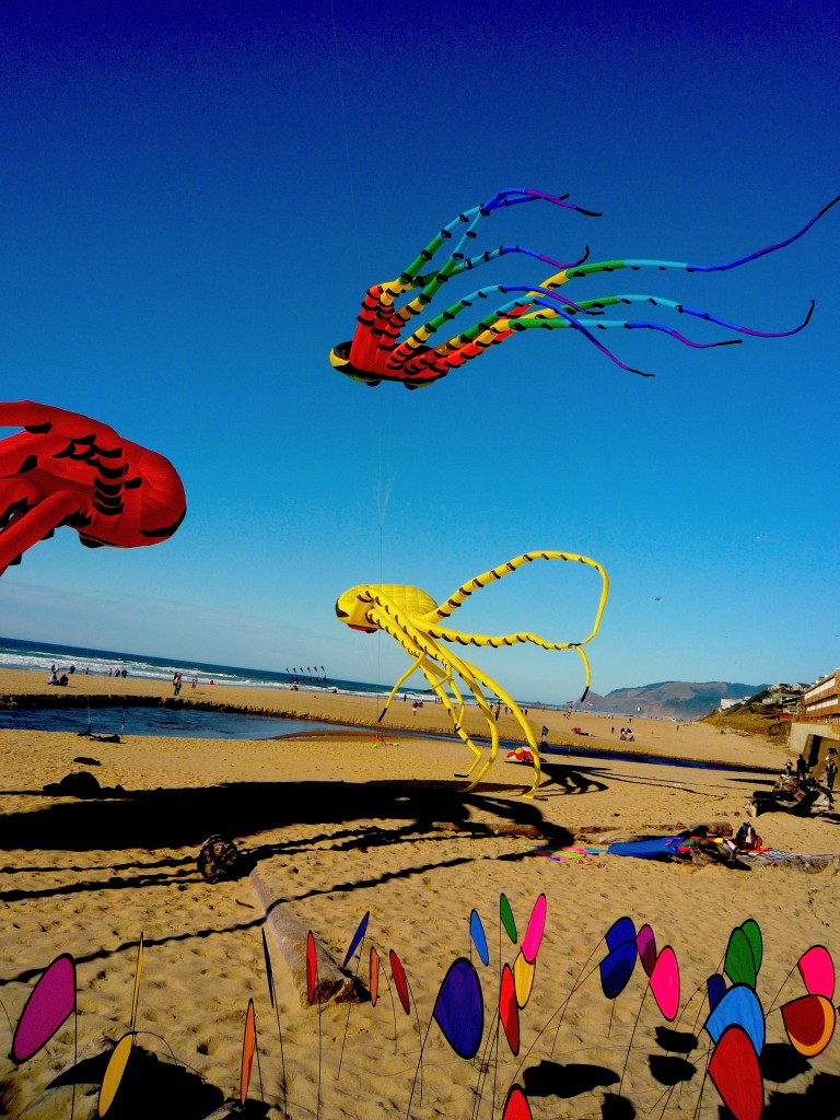 kite competition